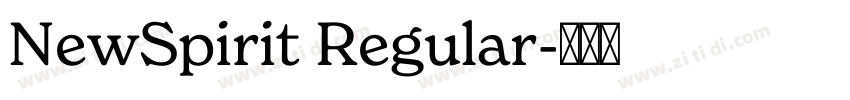 NewSpirit Regular字体转换